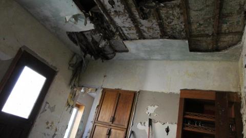 Stared Down By Stone - IMG_0516.JPG