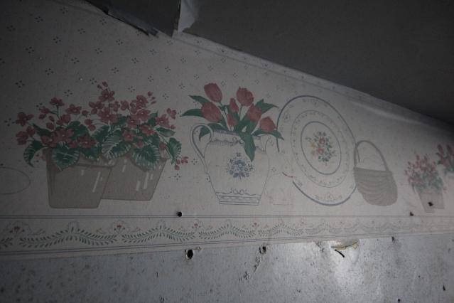 As Lions Watch Over photo 3