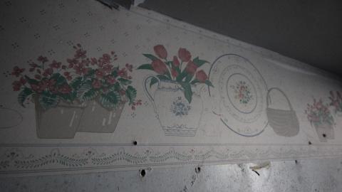 Photo from Stared Down By Stone