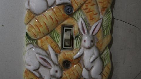 Photo from Stared Down By Stone