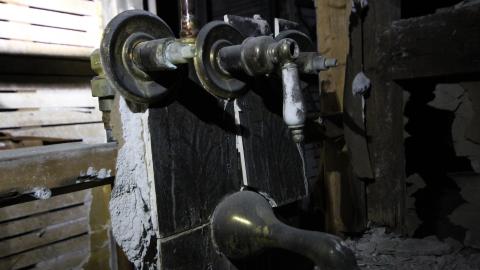 Stared Down By Stone - IMG_0510.JPG