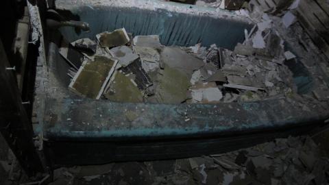 Stared Down By Stone - IMG_0508.JPG