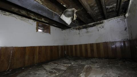 Stared Down By Stone - IMG_0501.JPG