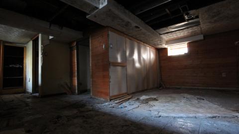 Stared Down By Stone - IMG_0497.JPG