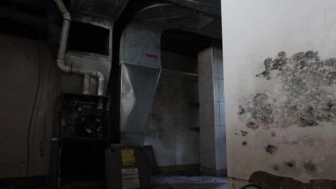 Stared Down By Stone - IMG_0495.JPG