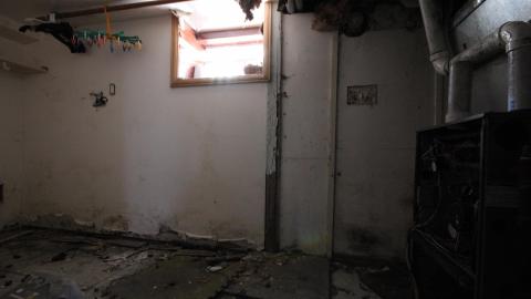 Stared Down By Stone - IMG_0492.JPG