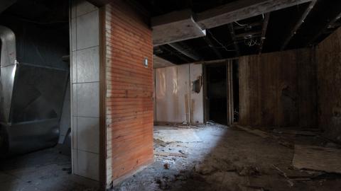 Stared Down By Stone - IMG_0491.JPG