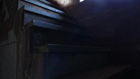 Stared Down By Stone - IMG_0488.JPG