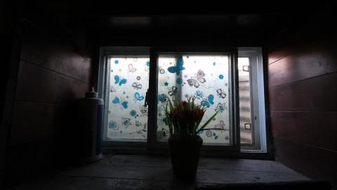 Stared Down By Stone - IMG_0482.JPG