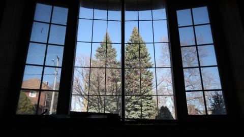 Stared Down By Stone - IMG_0473.JPG