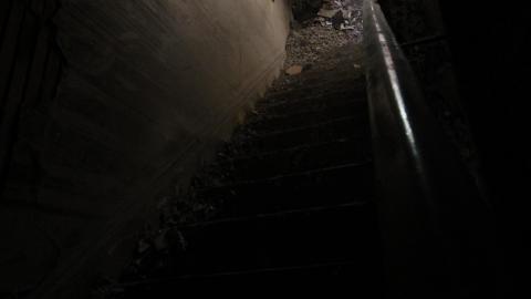 Stared Down By Stone - IMG_0469.JPG