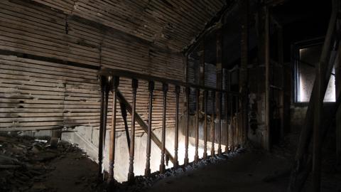 Stared Down By Stone - IMG_0466.JPG