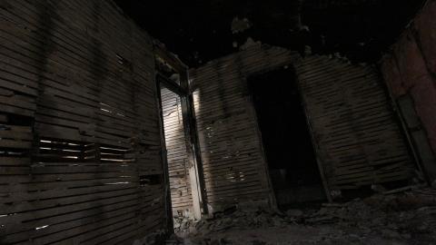 Stared Down By Stone - IMG_0464.JPG