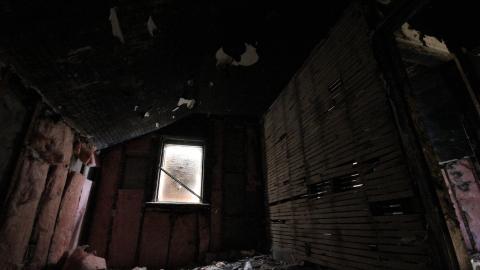 Stared Down By Stone - IMG_0459.JPG