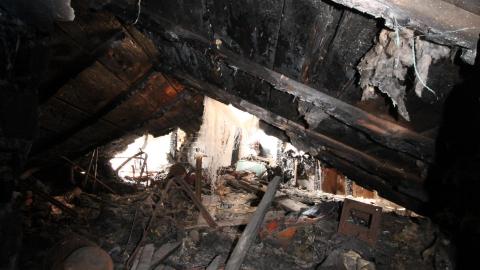 Stared Down By Stone - IMG_0454.JPG