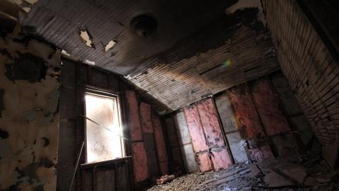 Stared Down By Stone - IMG_0443.JPG