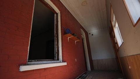 Stared Down By Stone - IMG_0425.JPG