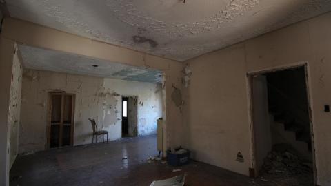 Stared Down By Stone - IMG_0423.JPG