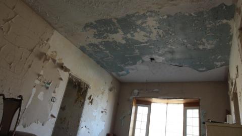 Stared Down By Stone - IMG_0421.JPG