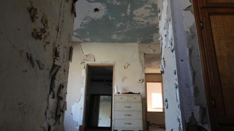 Stared Down By Stone - IMG_0417.JPG