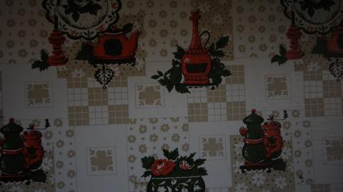 Stared Down By Stone - IMG_0405.JPG