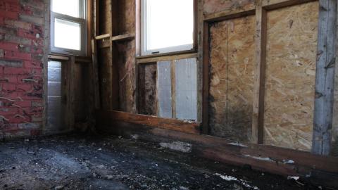 Stared Down By Stone - IMG_0411.JPG