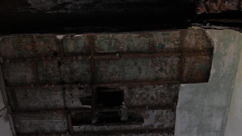 Stared Down By Stone - IMG_0408.JPG