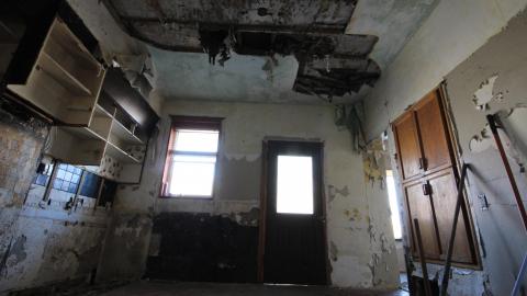 Stared Down By Stone - IMG_0407.JPG