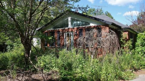 No KFC Aug '20 - DSC01765.JPG