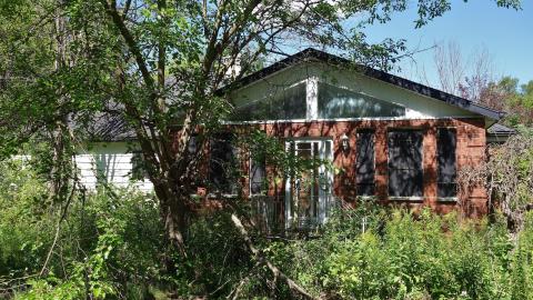 No KFC Aug '20 - DSC01767.JPG