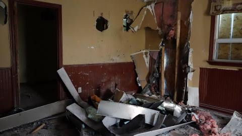 Backyard Chicken Farmer photo 5