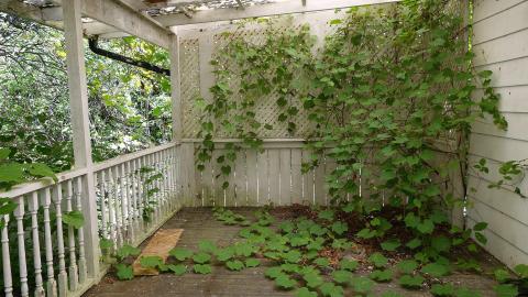 No KFC Aug '20 - DSC01812.JPG