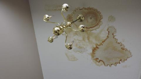 Nobody - received_555375205443214.jpeg