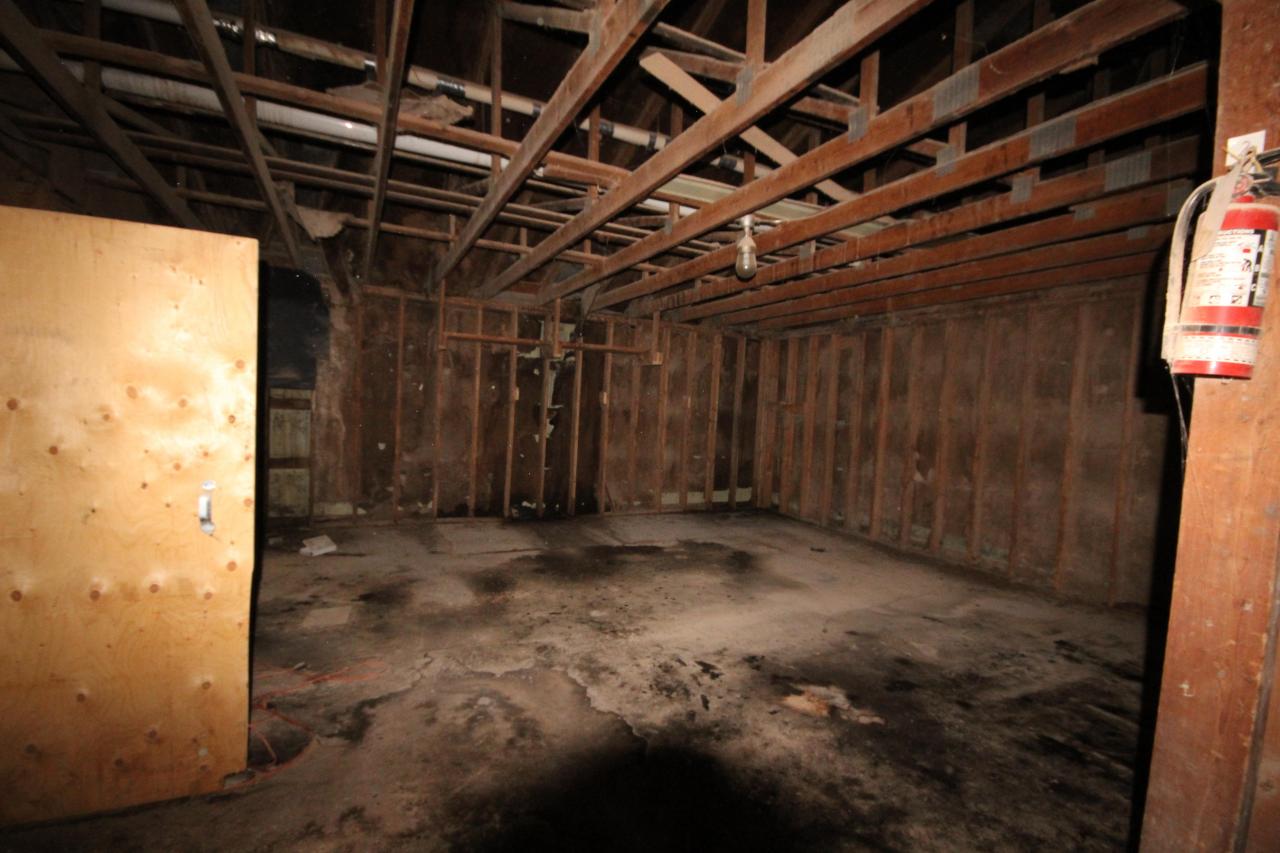 Just Wanted To Get Higher Vol II - IMG_0923.JPG