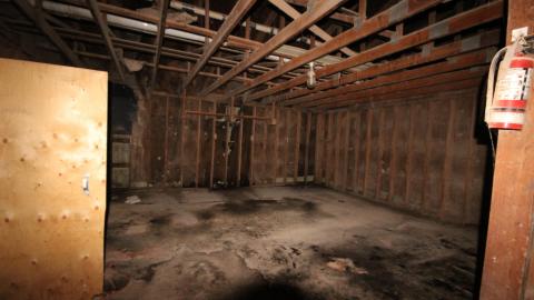 Feeding New Lands photo 2