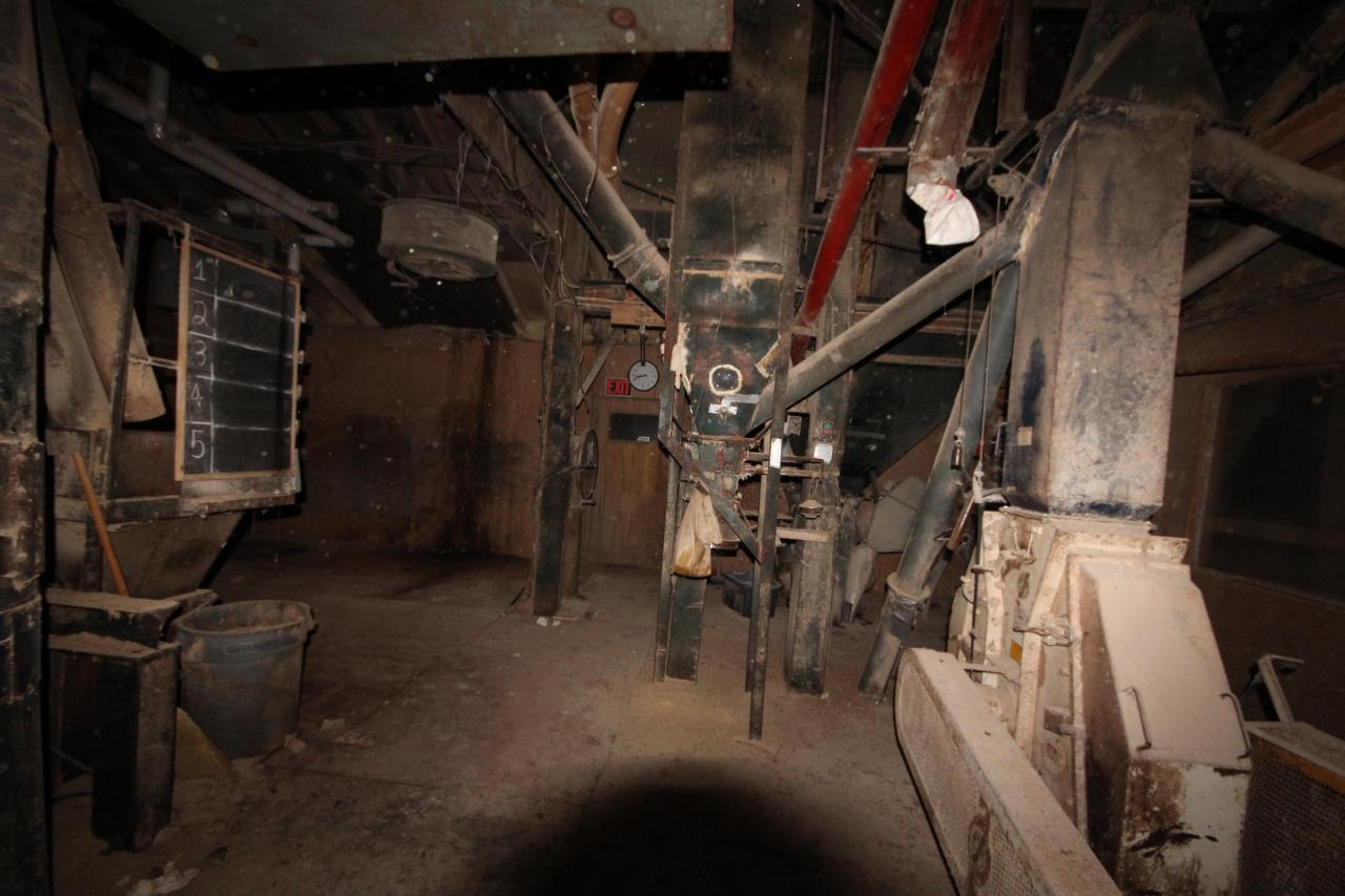 Just Wanted To Get Higher Vol II - IMG_0919.JPG