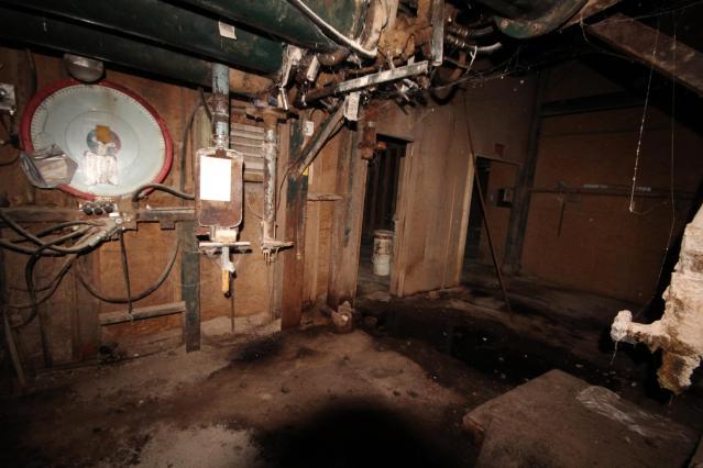 Feeding New Lands photo 5