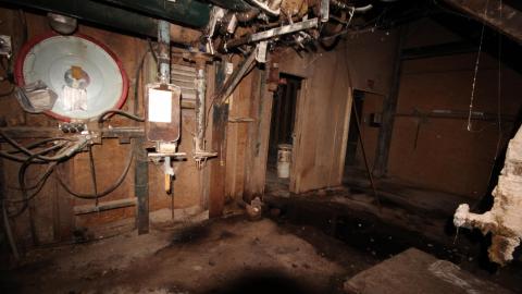 Feeding New Lands photo 5