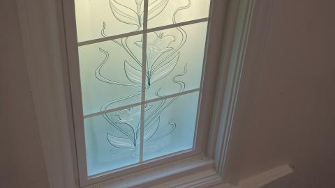 Aug '20 - DSC02002.JPG