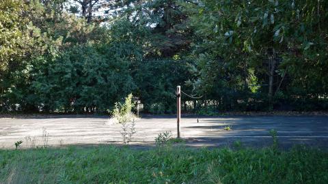 Aug '20 - DSC02087.JPG