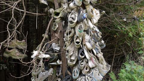 Spooky Forest Sept '20 - DSC00797.JPG