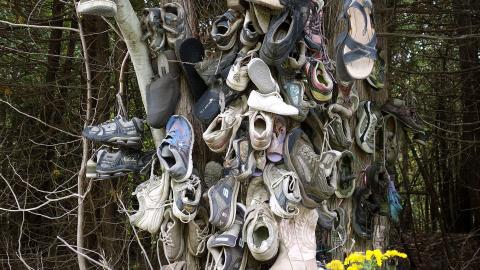 Spooky Forest Sept '20 - DSC00801.JPG