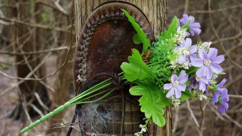 Spooky Forest Sept '20 - DSC00807.JPG