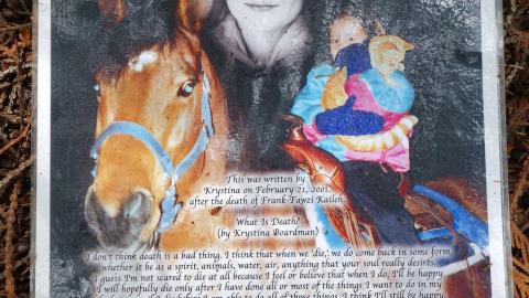 Spooky Forest Sept '20 - DSC00811.JPG