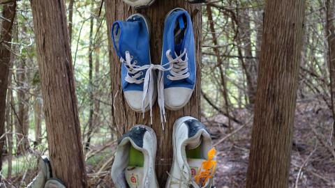 Spooky Forest Sept '20 - DSC00820.JPG