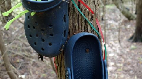 Spooky Forest Sept '20 - DSC00823.JPG