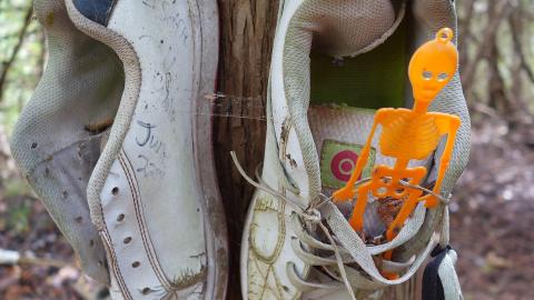 Spooky Forest Sept '20 - DSC00853.JPG