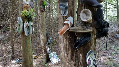 Spooky Forest Sept '20 - DSC00856.JPG