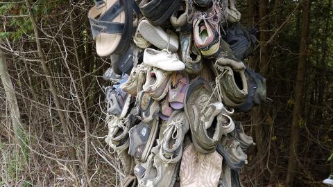 Spooky Forest Sept '20 - DSC00859.JPG