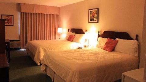 Sir London Wellington's Place - September 2017 - two-queen-beds.jpg